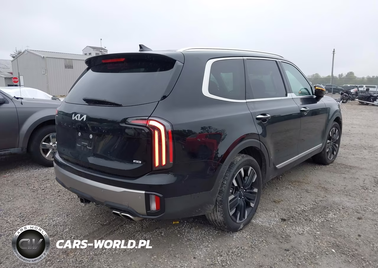 2025 Kia Telluride Sx VIN:5XYP5DGC4SG636408 - 4