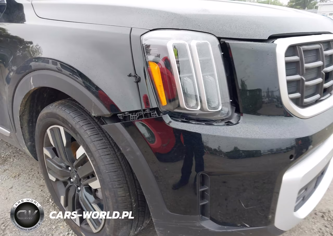 2025 Kia Telluride Sx VIN:5XYP5DGC4SG636408 - 6