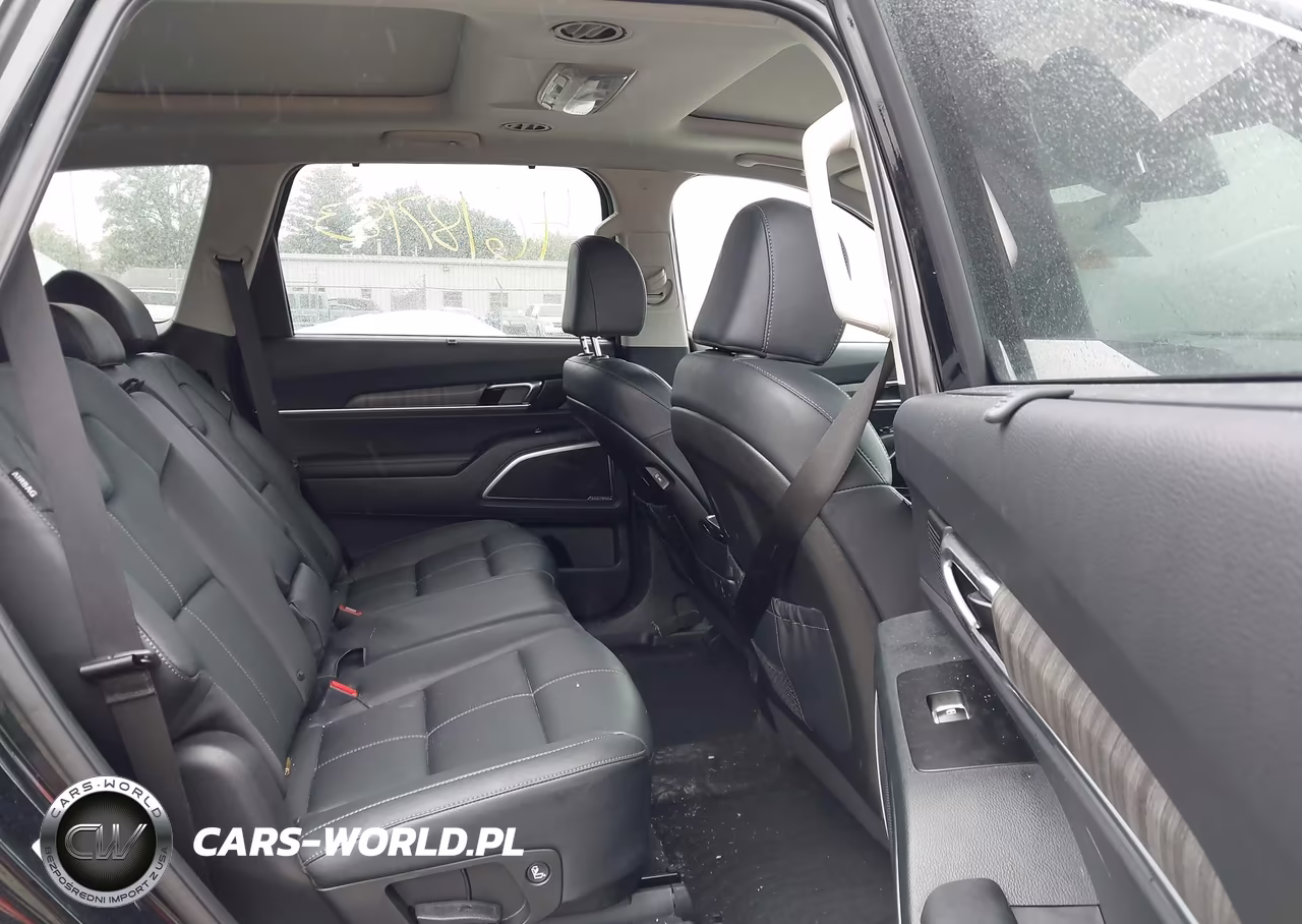 2025 Kia Telluride Sx VIN:5XYP5DGC4SG636408 - 8