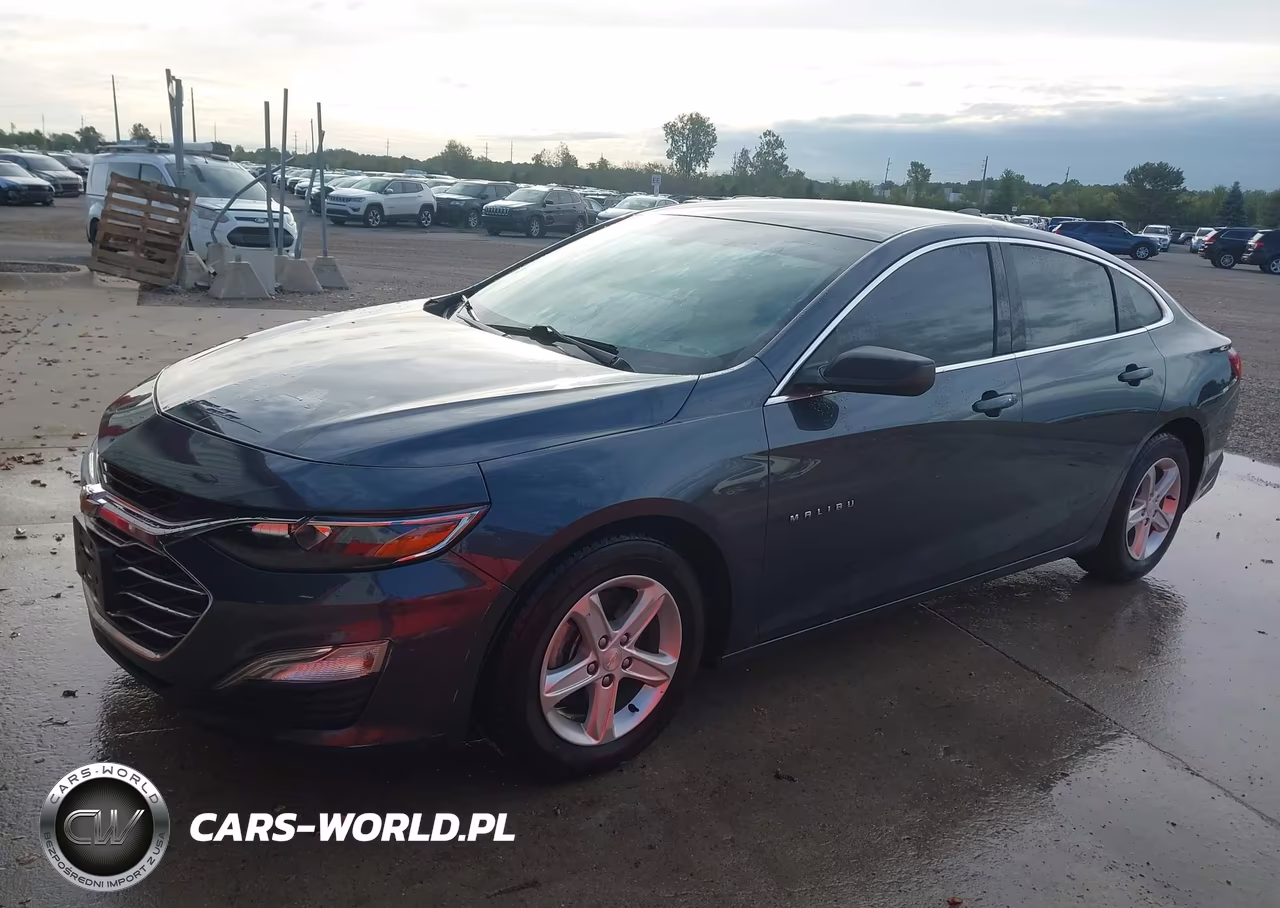 2021 Chevrolet Malibu Fwd 1Fl VIN:1G1ZC5ST7MF002018 - 2