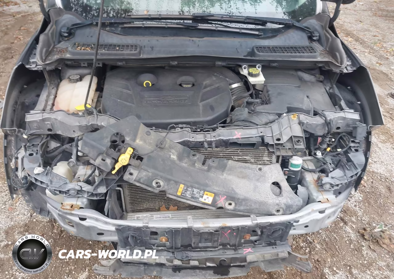 2013 Ford Escape Sel VIN:1FMCU9H91DUB37113 - 10