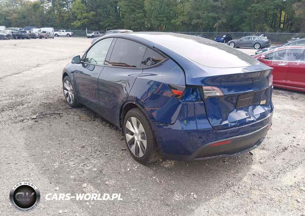 2021 Tesla Model Y Long Range Dual Motor All-Wheel Drive VIN:5YJYGDEE2MF199294 - 3