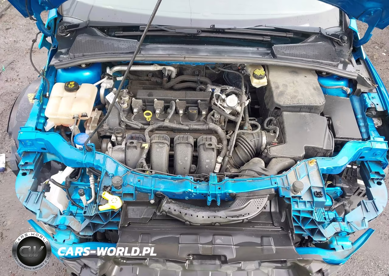 2017 Ford Focus Se VIN:1FADP3F20HL220746 - 10
