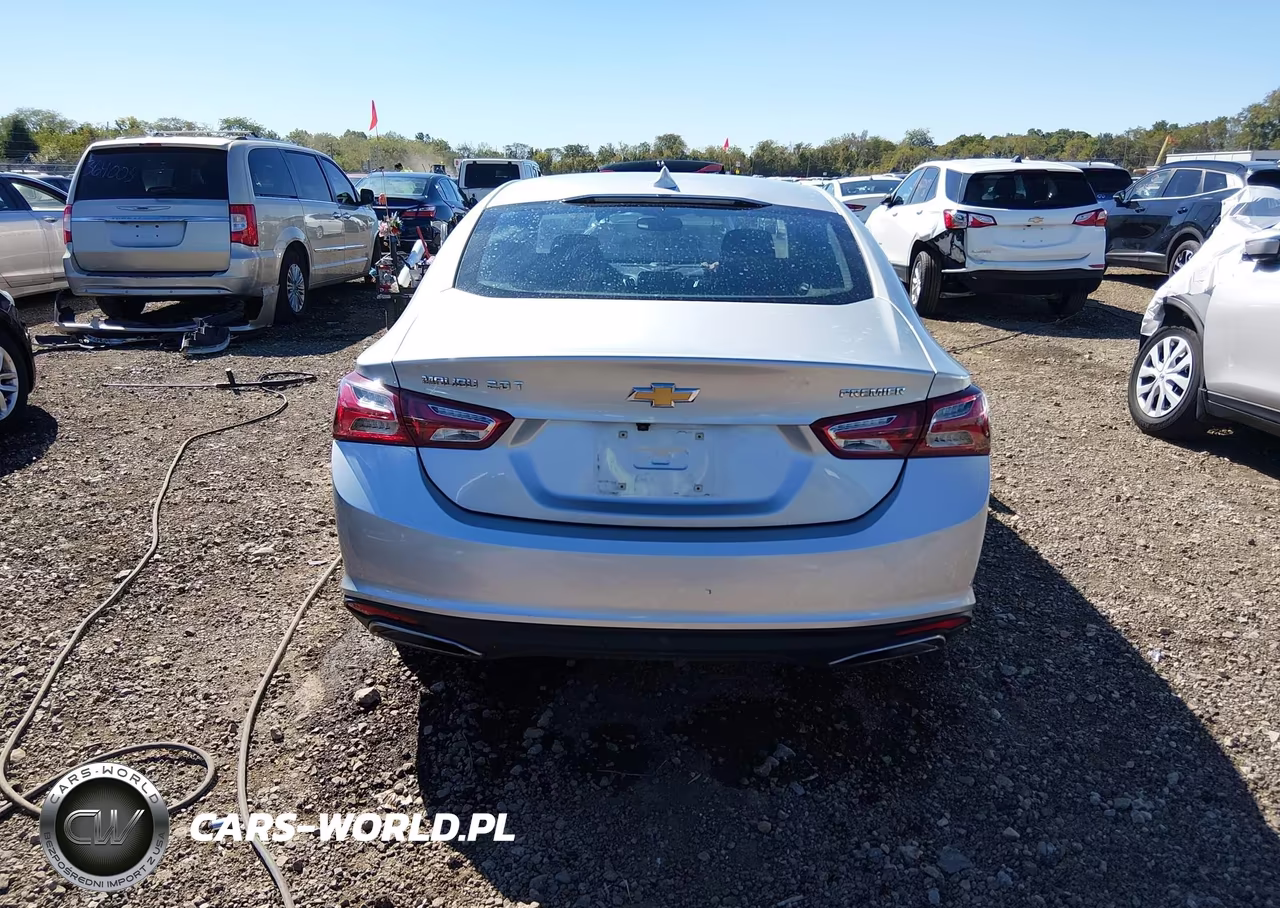 2019 Chevrolet Malibu Premier VIN:1G1ZE5SX3KF119606 - 17