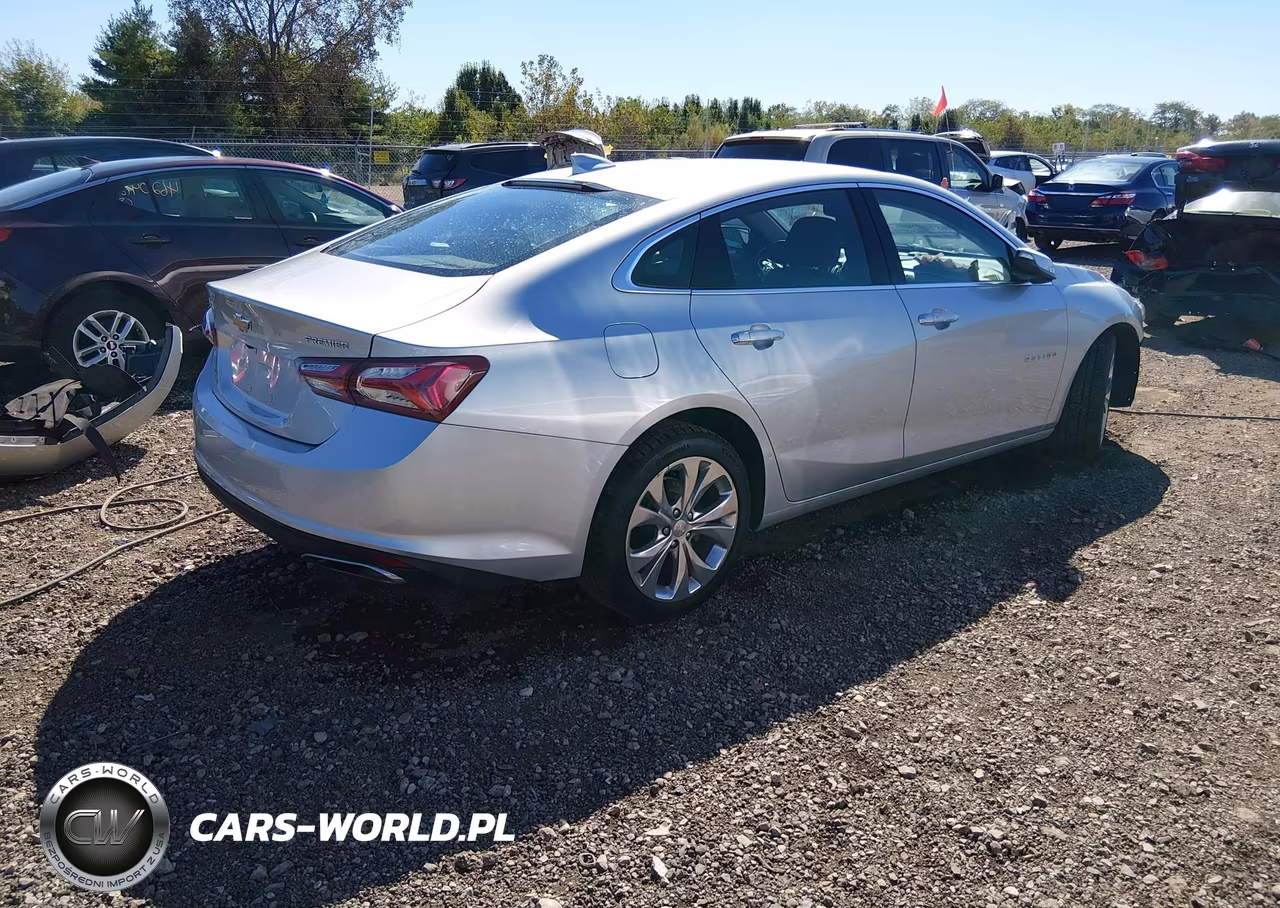 2019 Chevrolet Malibu Premier VIN:1G1ZE5SX3KF119606 - 4