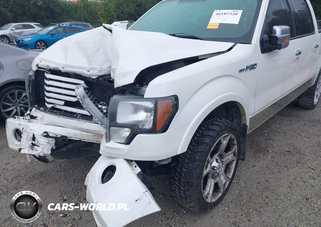 2011 Ford F-150 Lariat Limited VIN:1FTFW1E62BFB01567 - 19