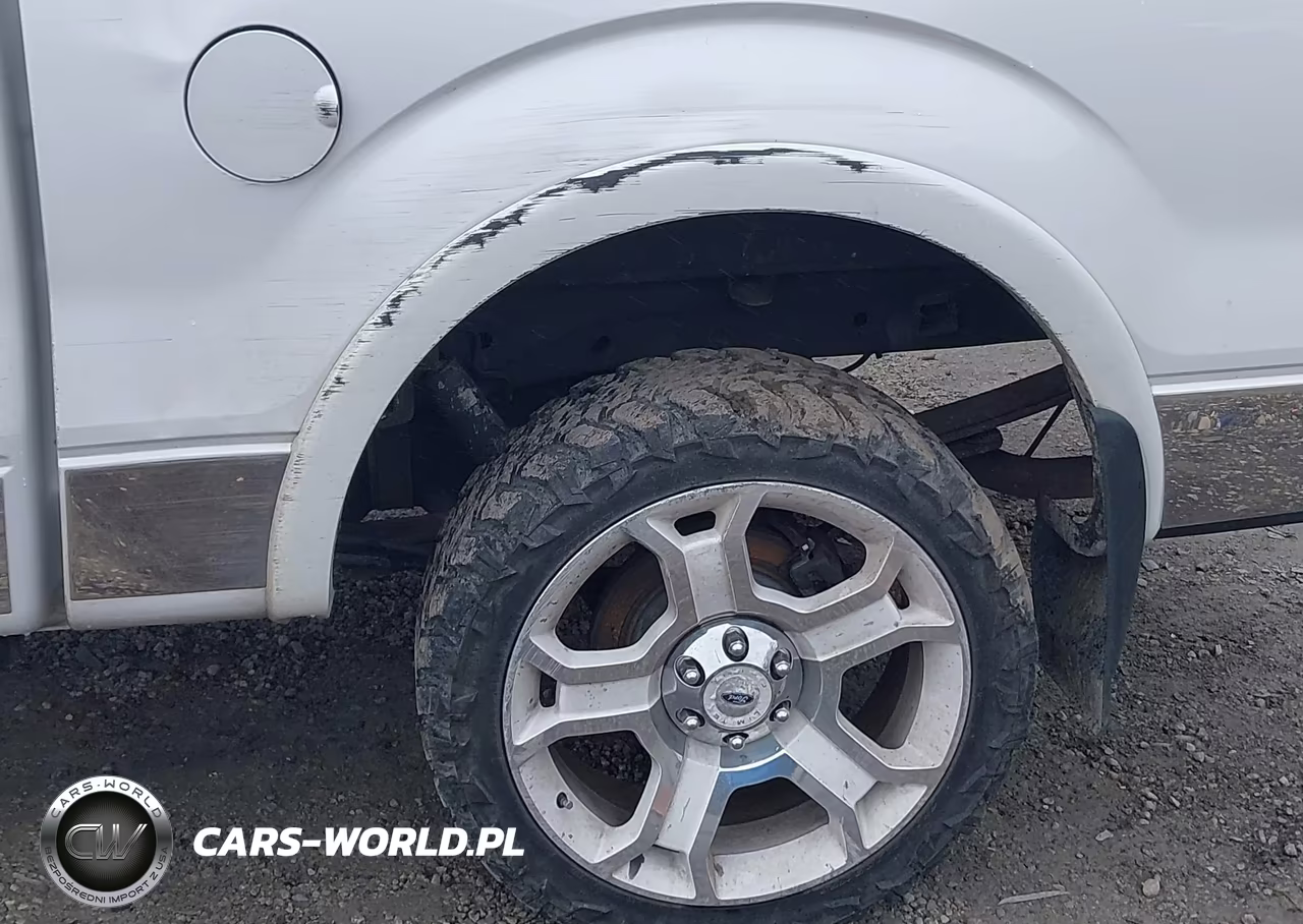 2011 Ford F-150 Lariat Limited VIN:1FTFW1E62BFB01567 - 21