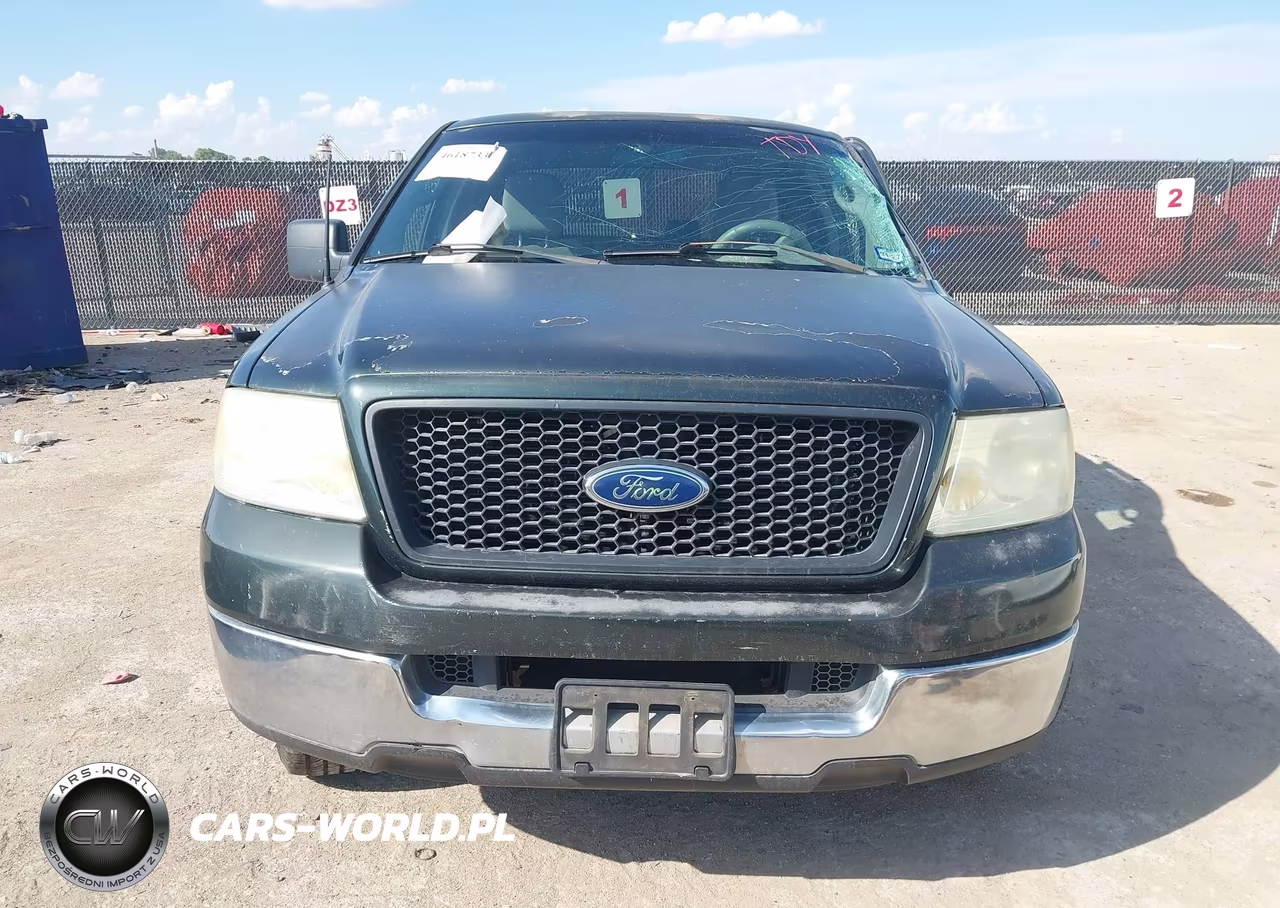 2005 Ford F-150 Stx-Xl-Xlt VIN:1FTRX12W65KD47242 - 12