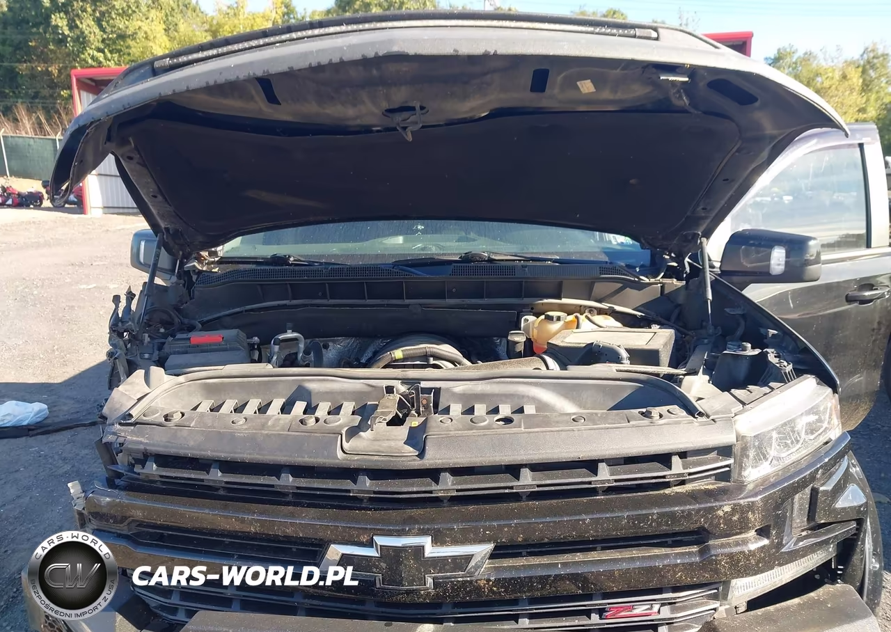 2020 Chevrolet Silverado 1500 4Wd Short Bed Lt Trail Boss-4Wd Standard Bed Lt Trail Boss VIN:3GCPYFED0LG158862 - 10