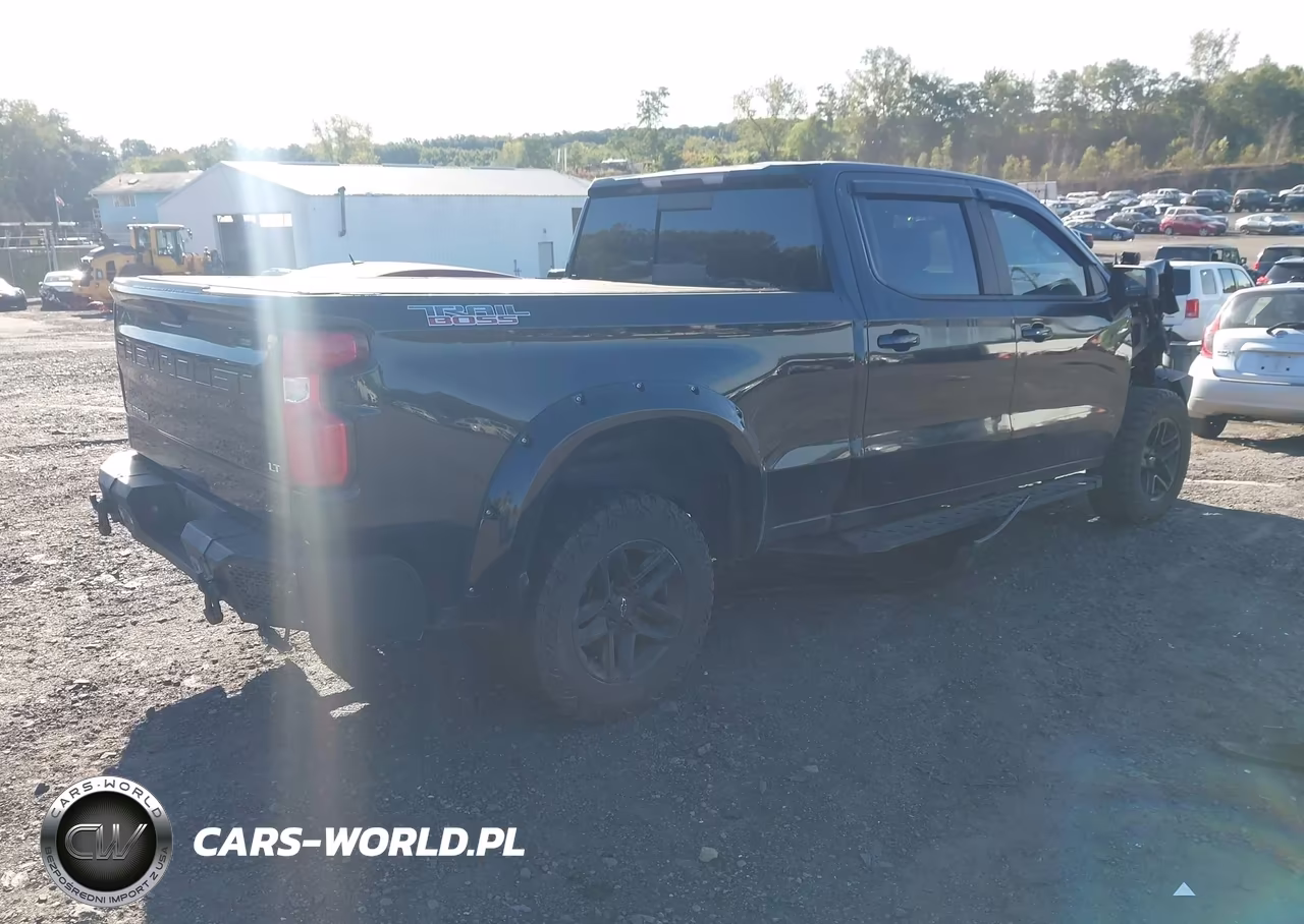 2020 Chevrolet Silverado 1500 4Wd Short Bed Lt Trail Boss-4Wd Standard Bed Lt Trail Boss VIN:3GCPYFED0LG158862 - 4