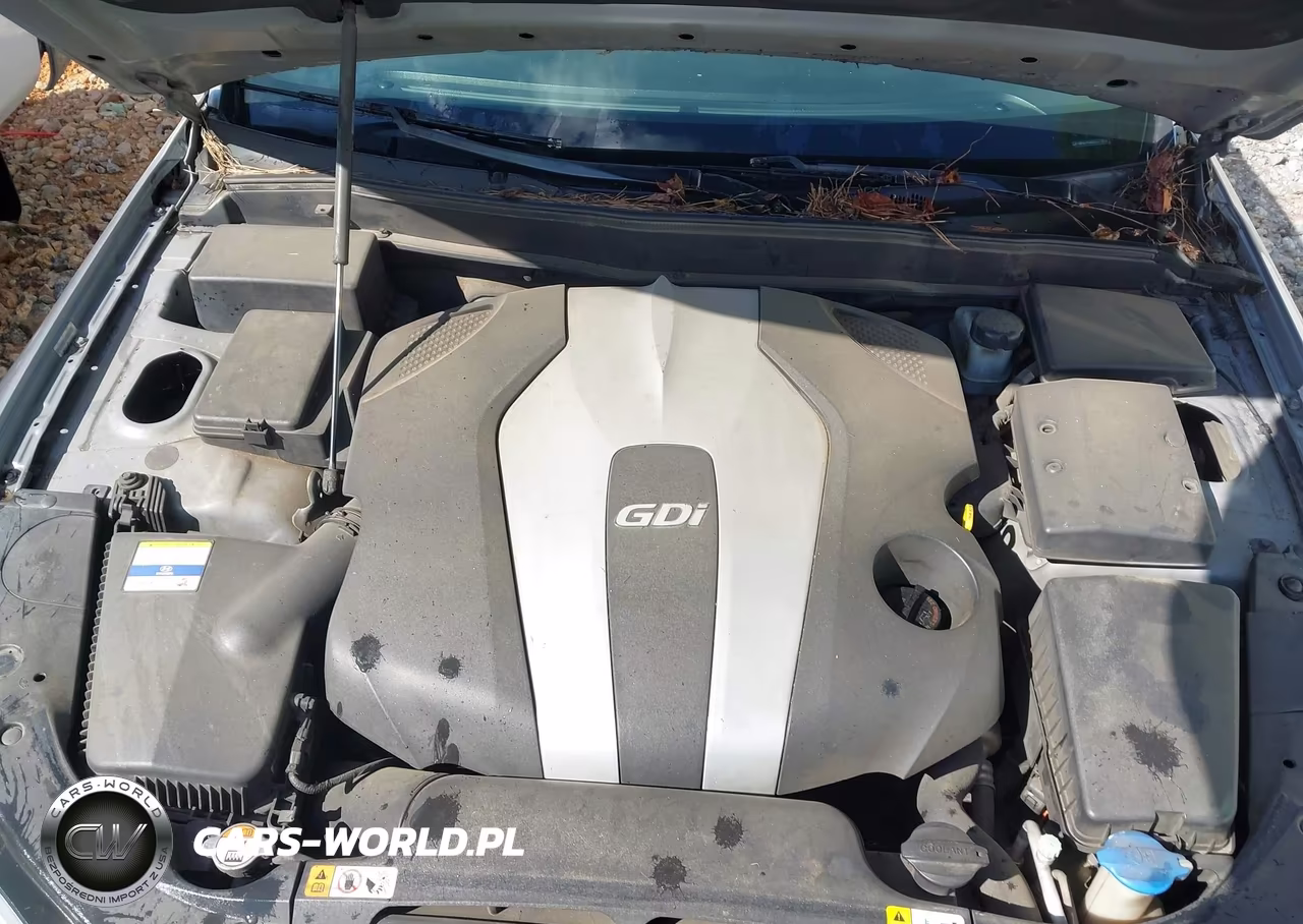 2012 Hyundai Genesis 3.8L VIN:KMHGC4DD2CU177815 - 10