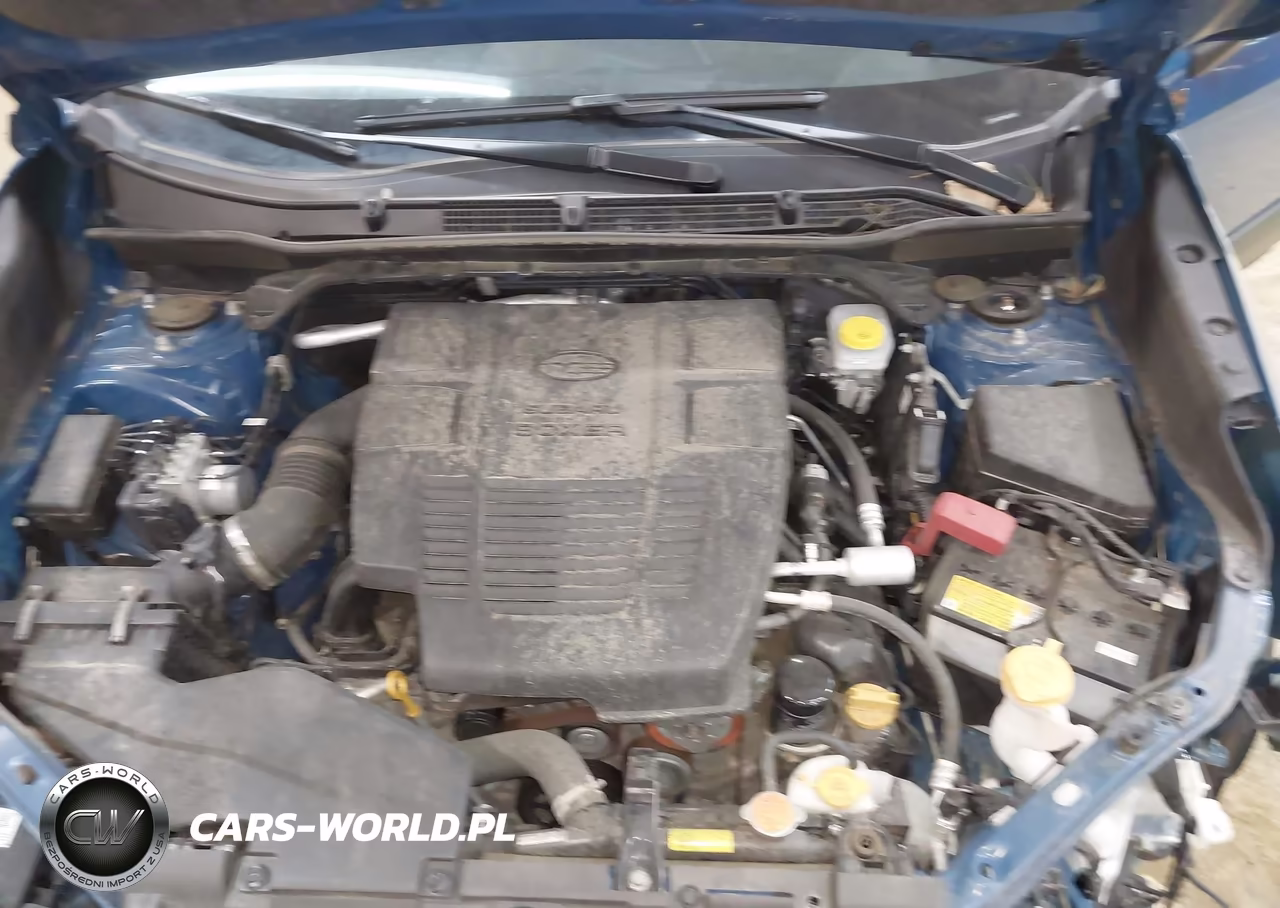 2024 Subaru Forester Wilderness VIN:JF2SKAJC8RH526300 - 10