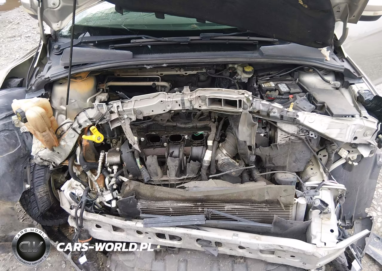 2016 Ford Focus Se VIN:1FADP3F24GL264117 - 10