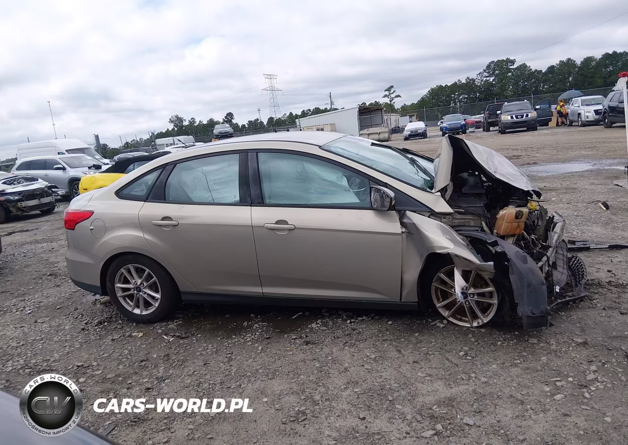 2016 Ford Focus Se VIN:1FADP3F24GL264117 - 14