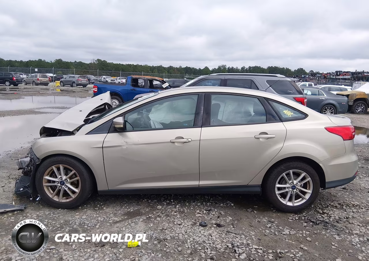2016 Ford Focus Se VIN:1FADP3F24GL264117 - 15