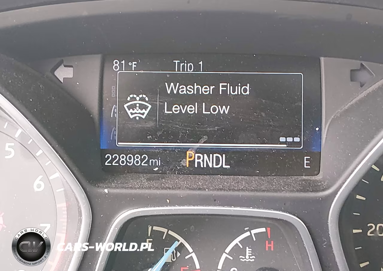 2016 Ford Focus Se VIN:1FADP3F24GL264117 - 16