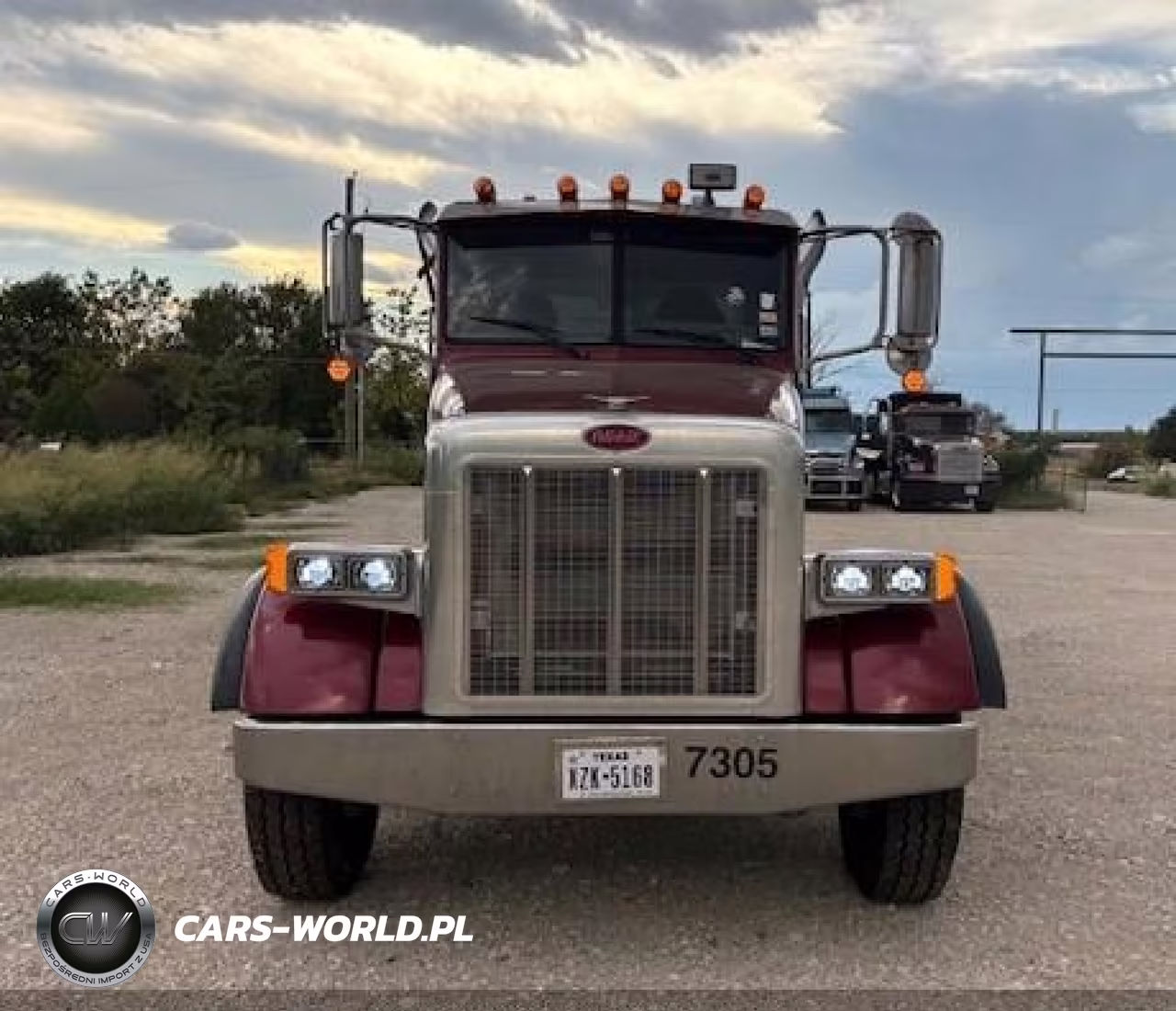 2007 Peterbilt 357 VIN:1NPALT0X37D669627 - 8