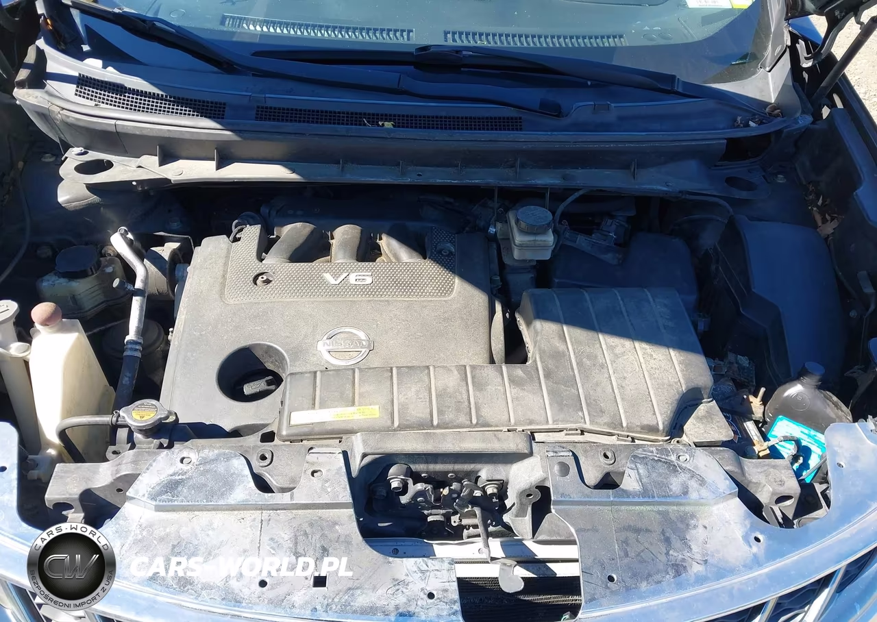 2009 Nissan Murano Sl VIN:JN8AZ18W59W207751 - 10