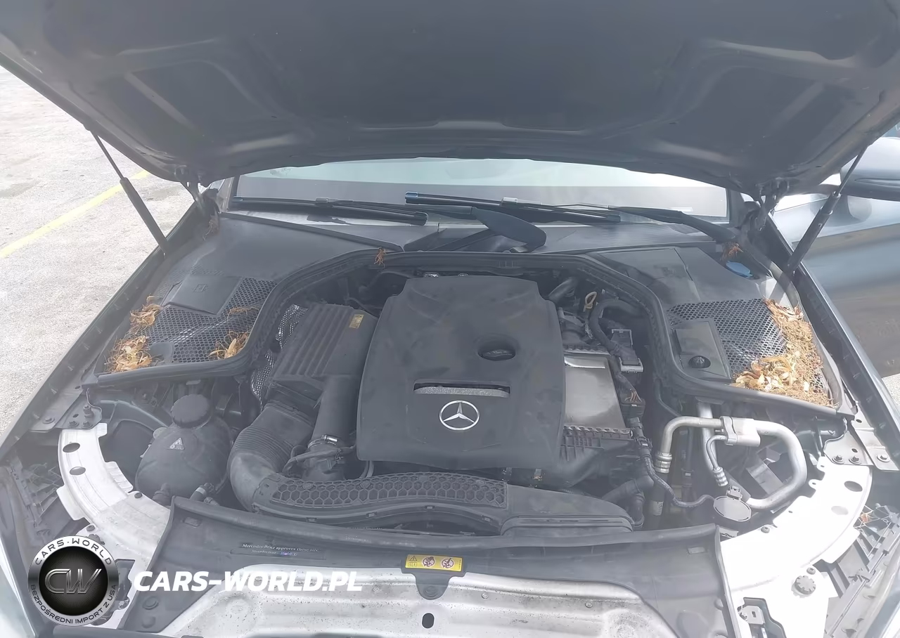 2018 Mercedes-Benz C 300 VIN:55SWF4JB8JU239622 - 10