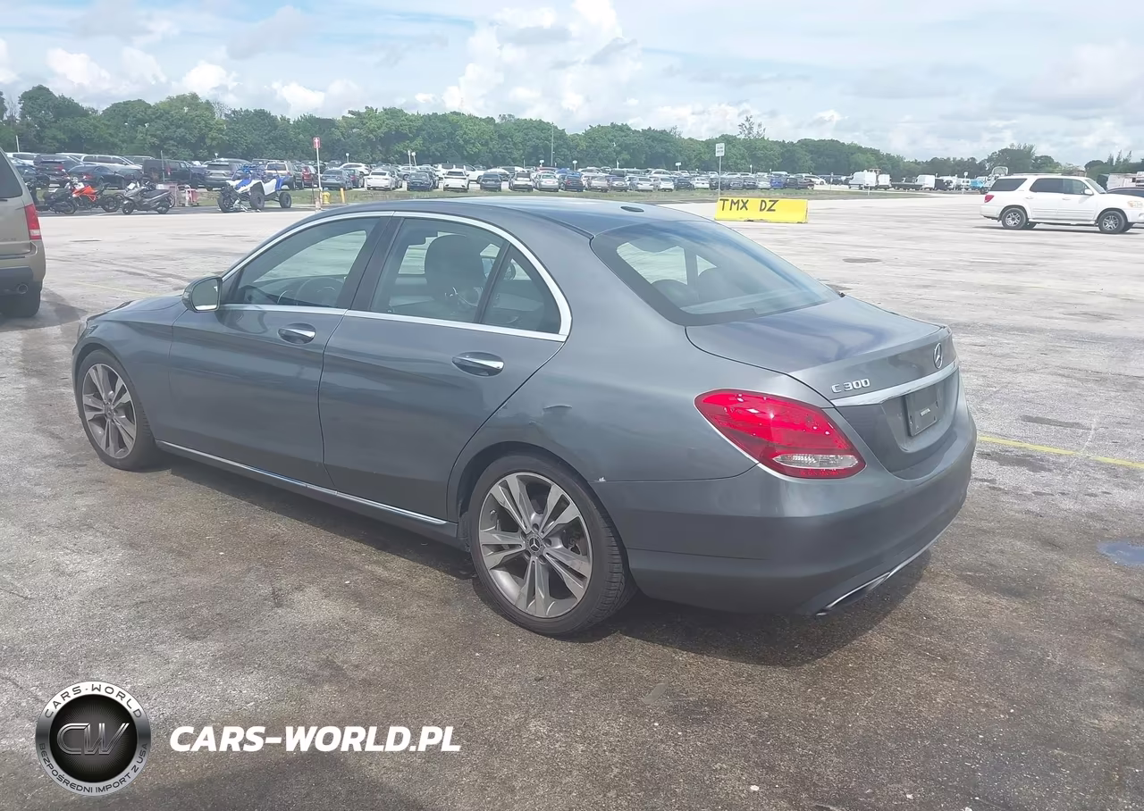 2018 Mercedes-Benz C 300 VIN:55SWF4JB8JU239622 - 3