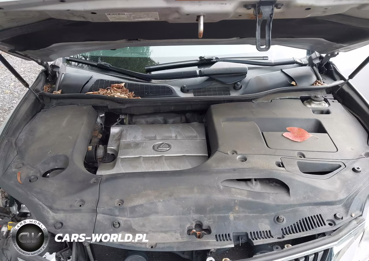 2010 Lexus Rx 350 VIN:2T2BK1BA6AC071947 - 10