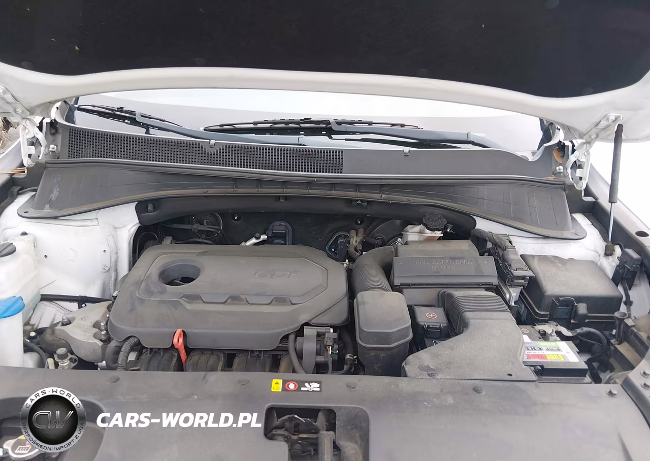 2019 Kia Sorento 2.4L Lx VIN:5XYPG4A3XKG435213 - 10