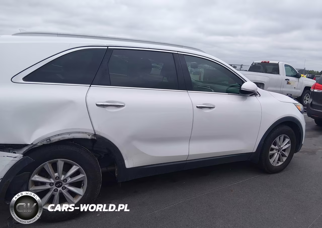 2019 Kia Sorento 2.4L Lx VIN:5XYPG4A3XKG435213 - 13