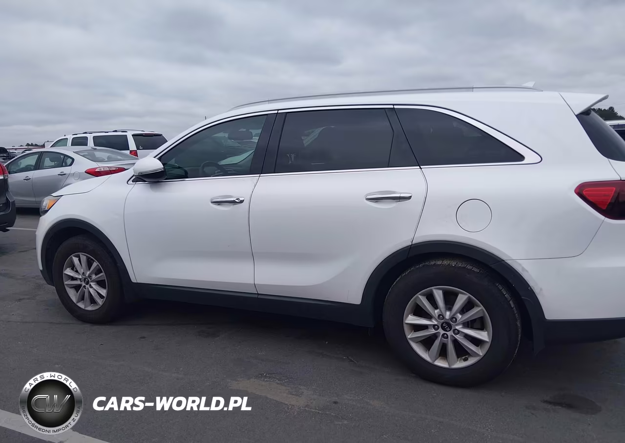 2019 Kia Sorento 2.4L Lx VIN:5XYPG4A3XKG435213 - 14