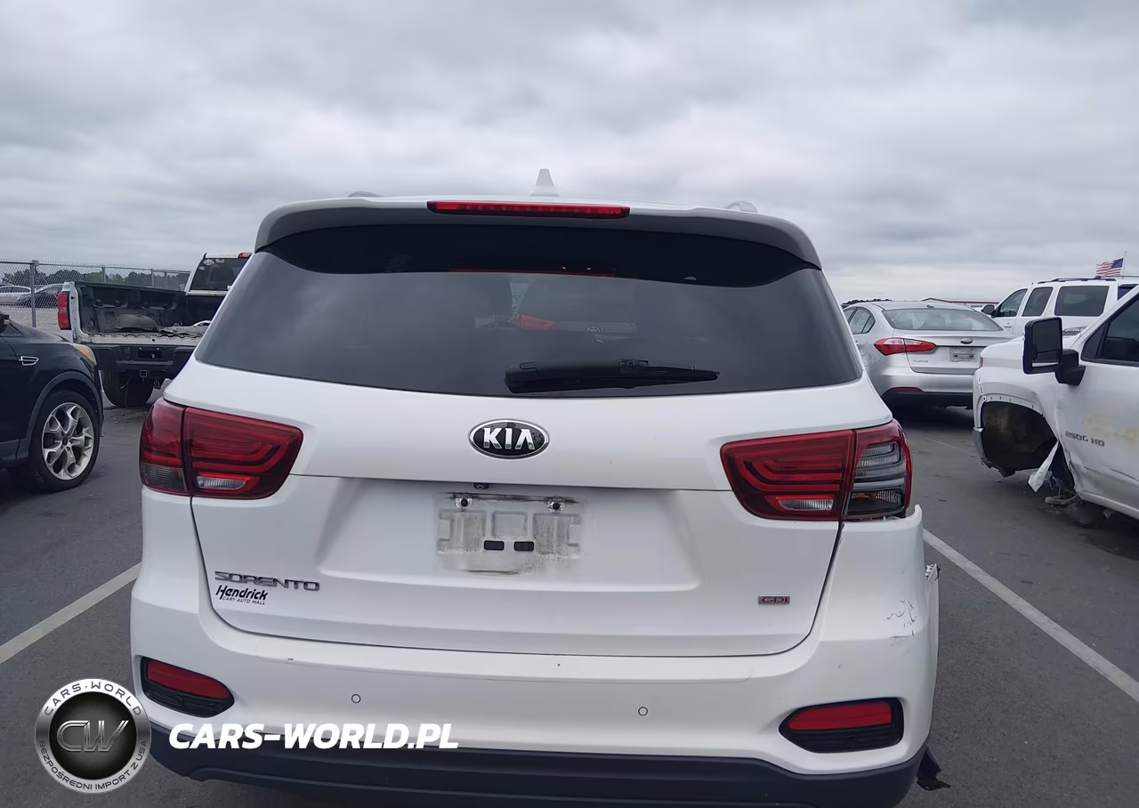 2019 Kia Sorento 2.4L Lx VIN:5XYPG4A3XKG435213 - 16