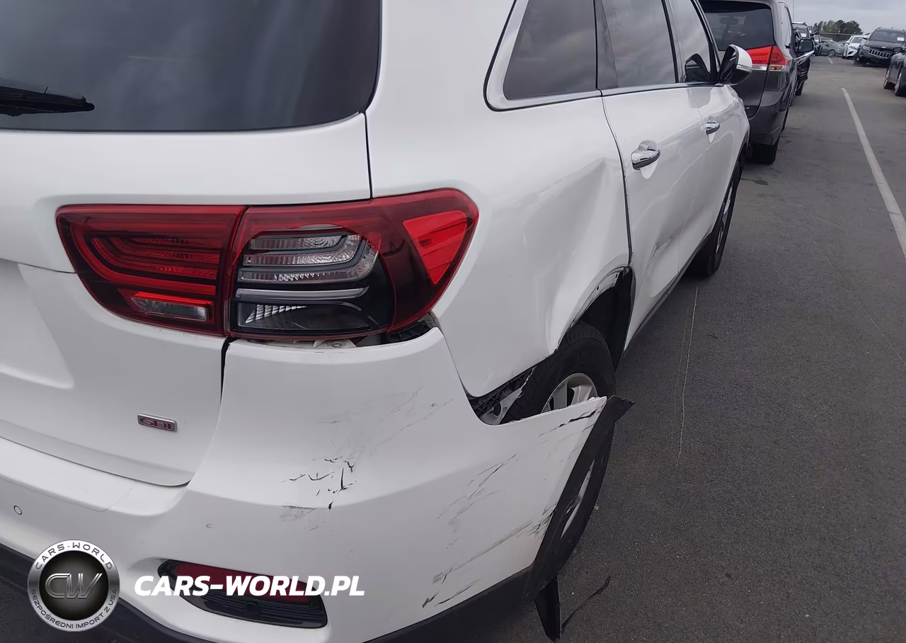 2019 Kia Sorento 2.4L Lx VIN:5XYPG4A3XKG435213 - 18