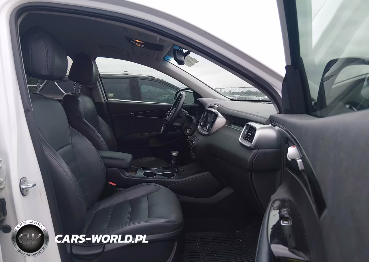 2019 Kia Sorento 2.4L Lx VIN:5XYPG4A3XKG435213 - 5