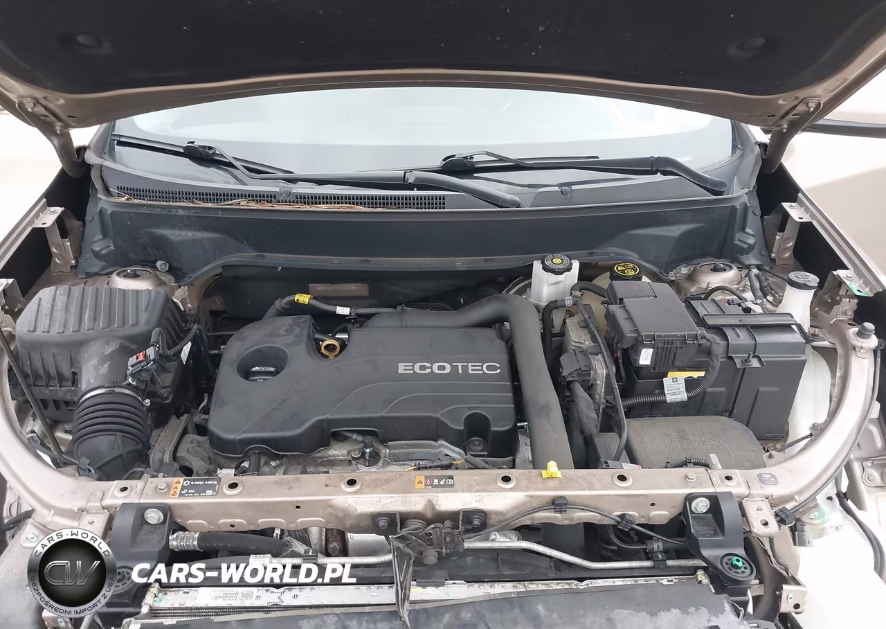 2019 Chevrolet Equinox Lt VIN:2GNAXJEV4K6223010 - 10