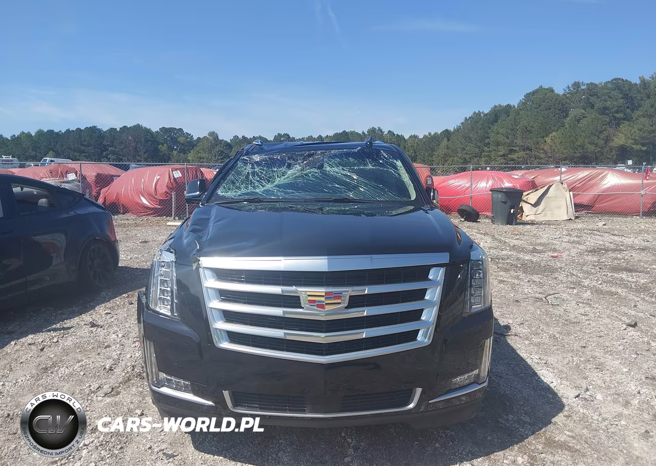 2019 Cadillac Escalade Premium Luxury VIN:1GYS3CKJ5KR195562 - 12