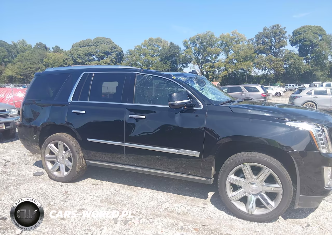 2019 Cadillac Escalade Premium Luxury VIN:1GYS3CKJ5KR195562 - 13