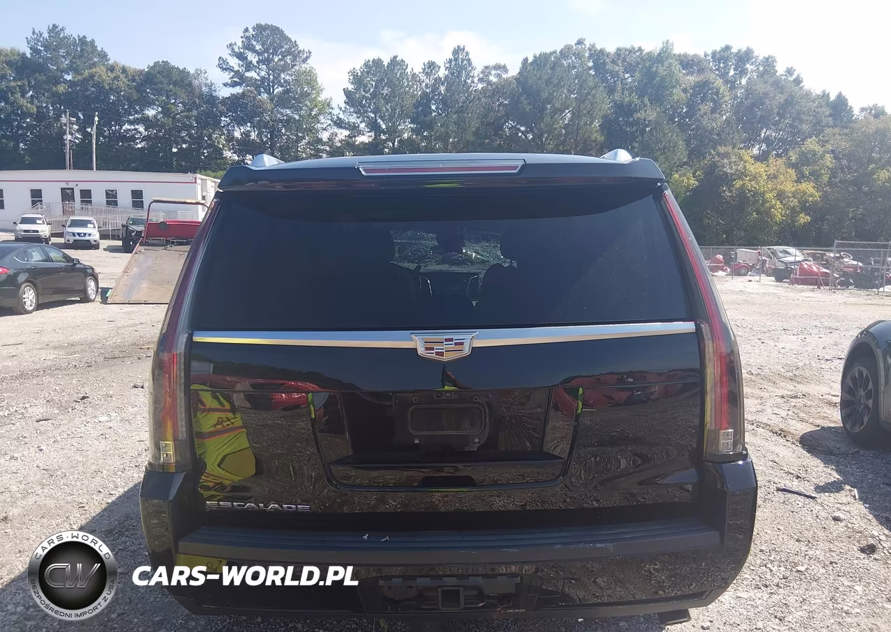 2019 Cadillac Escalade Premium Luxury VIN:1GYS3CKJ5KR195562 - 16