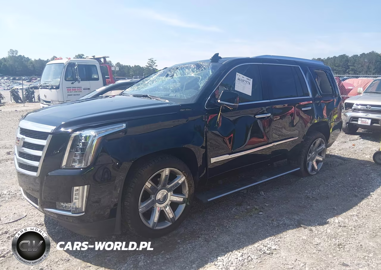 2019 Cadillac Escalade Premium Luxury VIN:1GYS3CKJ5KR195562 - 2
