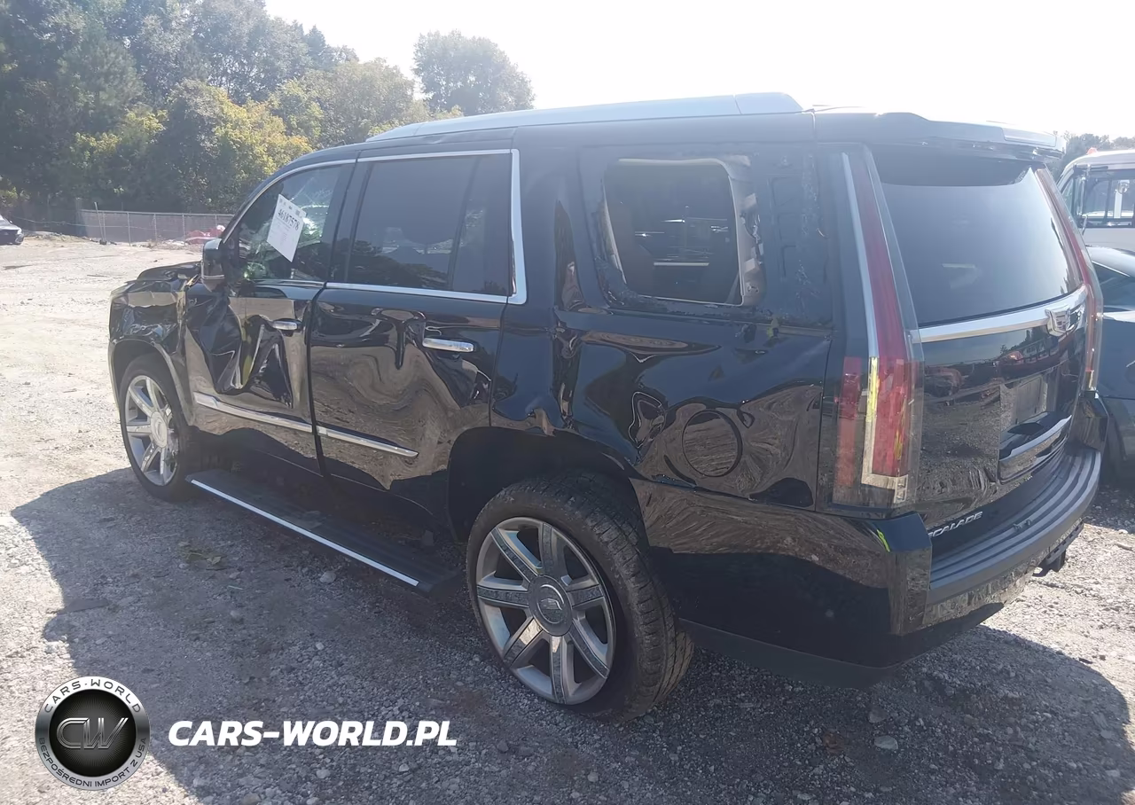 2019 Cadillac Escalade Premium Luxury VIN:1GYS3CKJ5KR195562 - 3