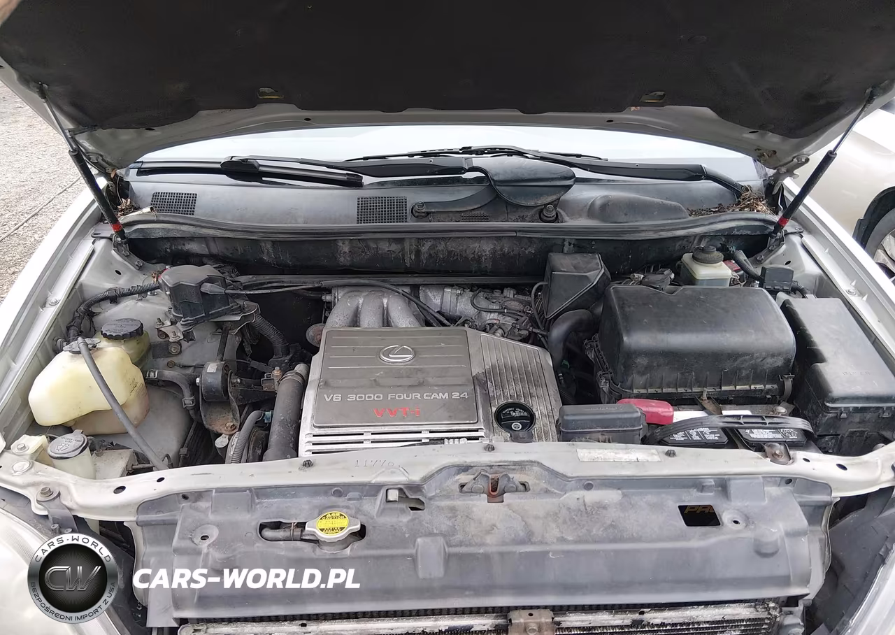 2000 Lexus Rx 300 VIN:JT6HF10U0Y0154513 - 10