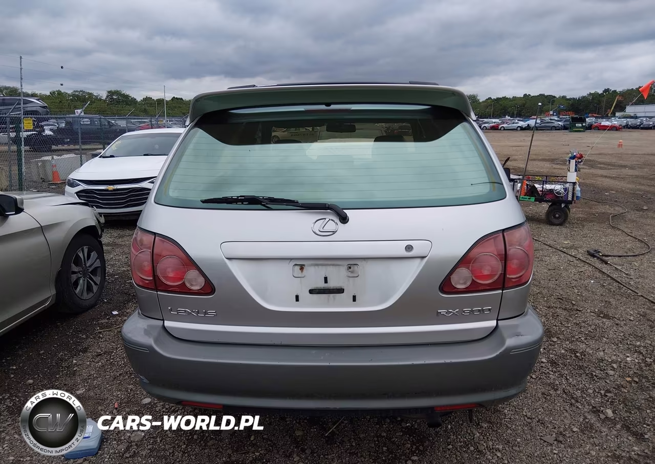 2000 Lexus Rx 300 VIN:JT6HF10U0Y0154513 - 16