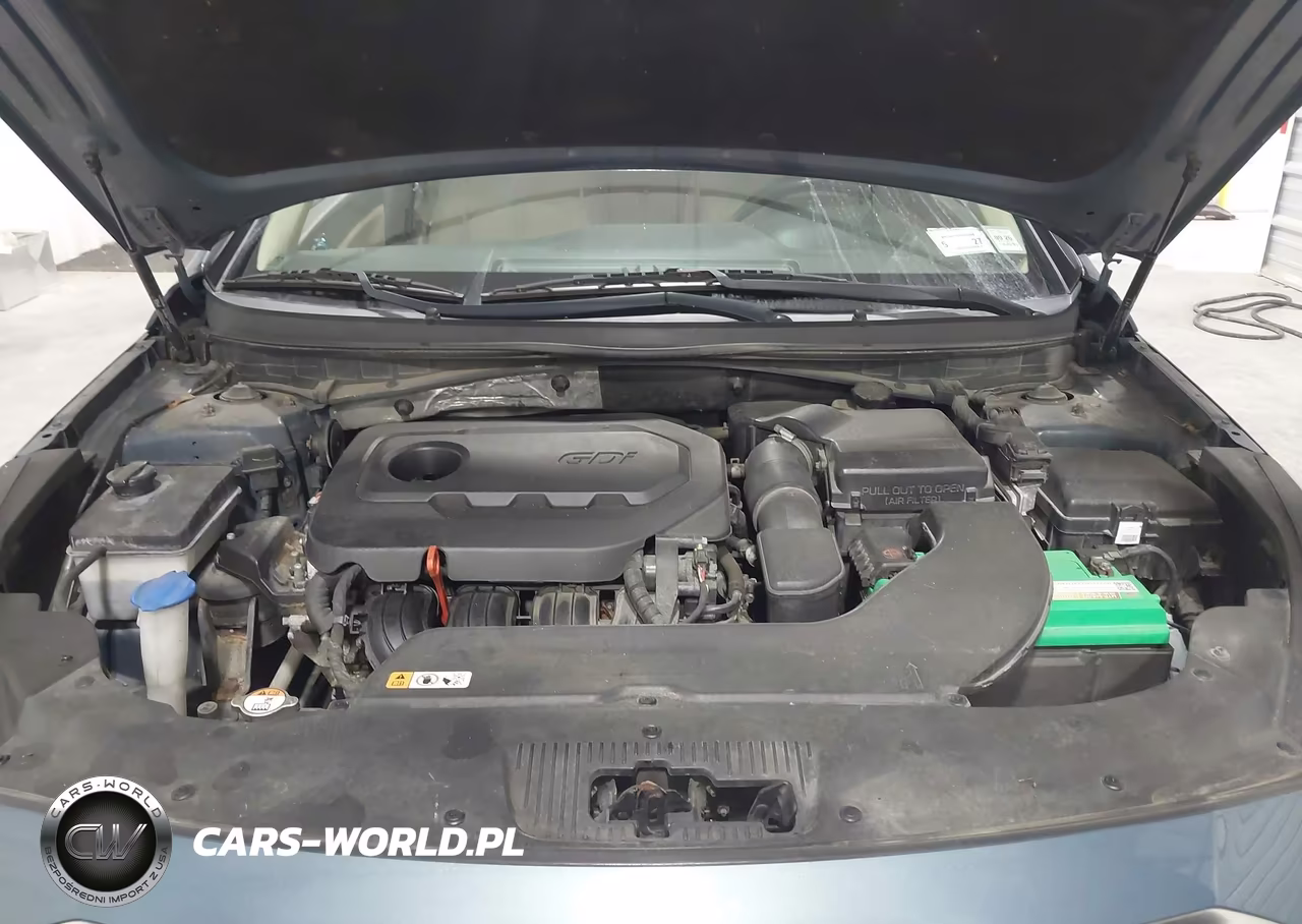 2016 Hyundai Sonata Se VIN:5NPE24AF0GH319177 - 10