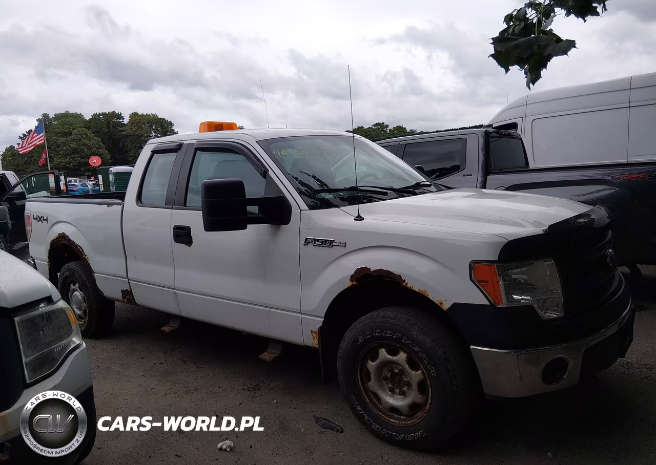 2013 Ford F-150 Xl VIN:1FTFX1EF3DKE77878 - 13