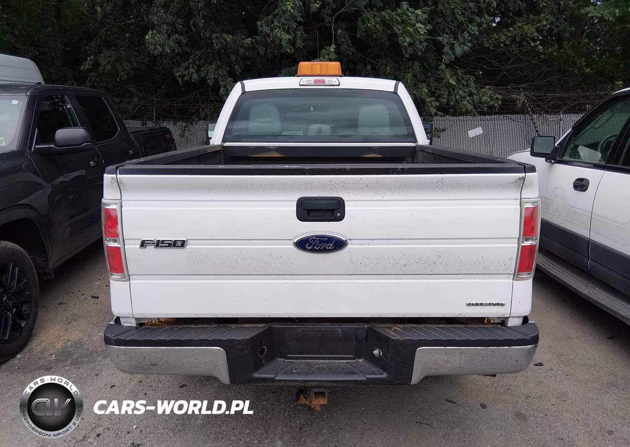 2013 Ford F-150 Xl VIN:1FTFX1EF3DKE77878 - 16