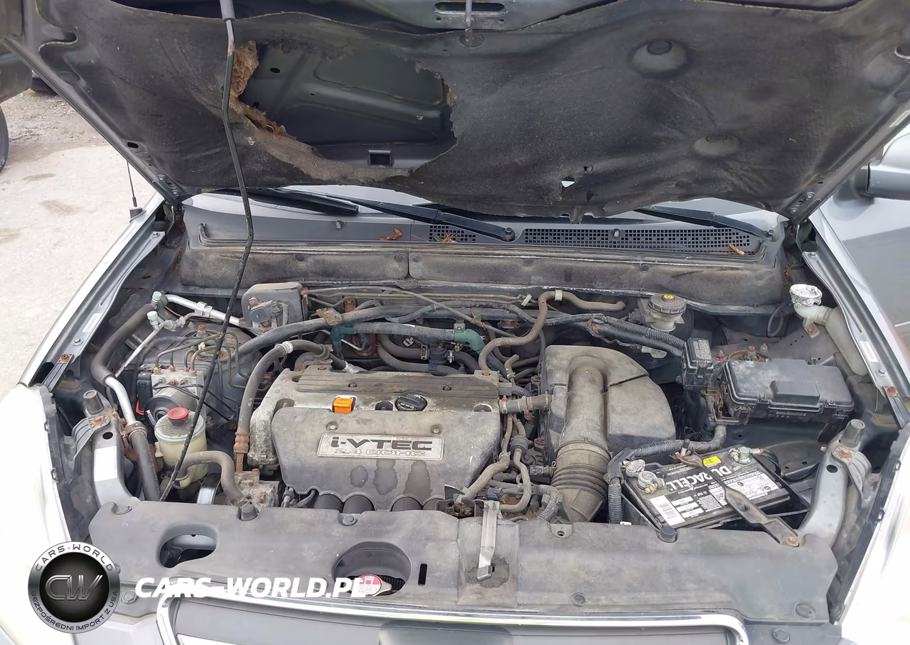 2005 Honda Cr-V Se VIN:JHLRD78945C062873 - 10