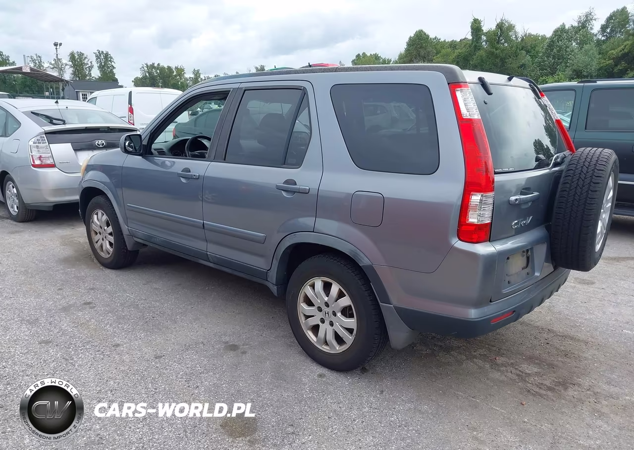 2005 Honda Cr-V Se VIN:JHLRD78945C062873 - 3