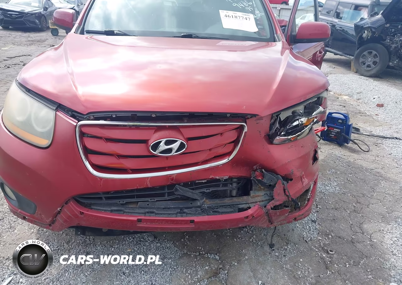 2010 Hyundai Santa Fe Se VIN:5NMSHDAG5AH409486 - 6
