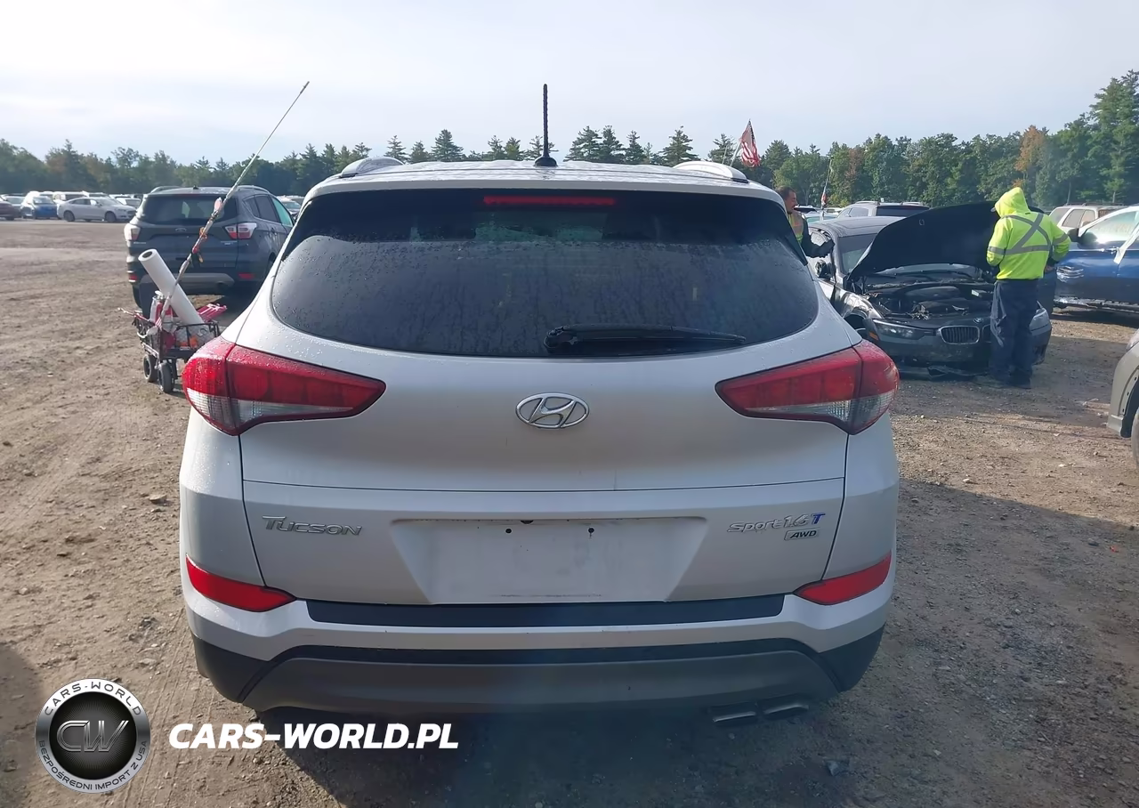 2016 Hyundai Tucson Sport VIN:KM8J3CA25GU022653 - 16