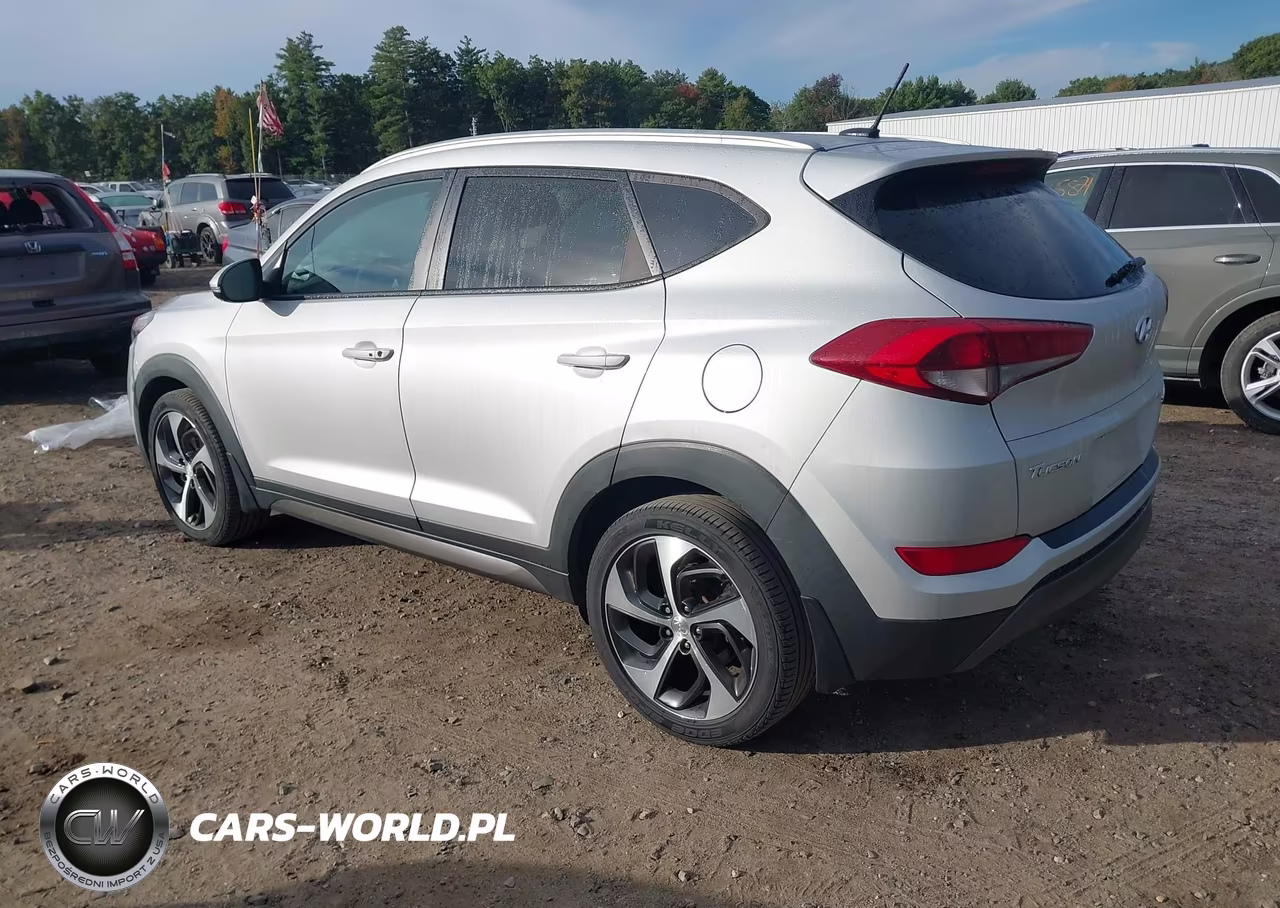 2016 Hyundai Tucson Sport VIN:KM8J3CA25GU022653 - 3