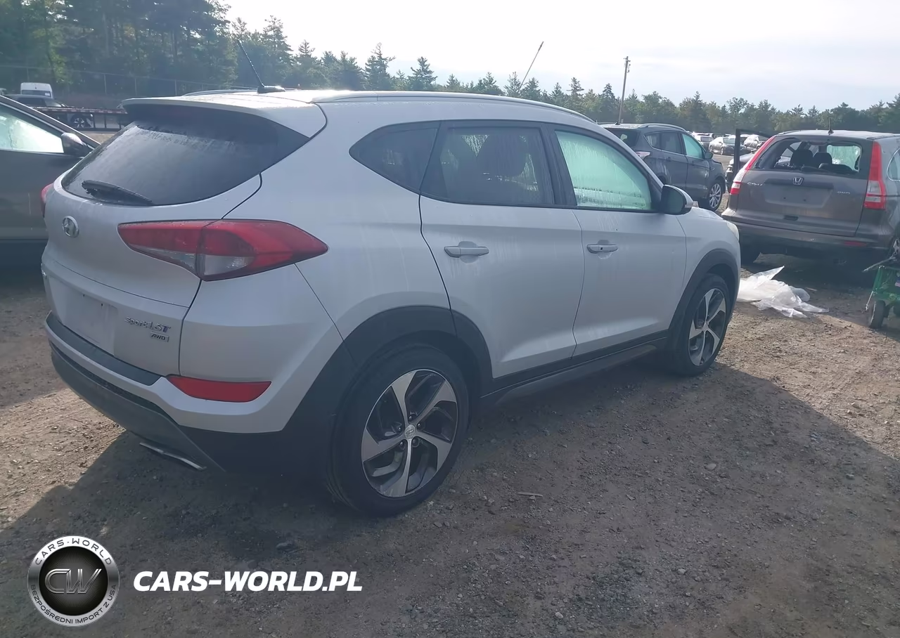 2016 Hyundai Tucson Sport VIN:KM8J3CA25GU022653 - 4