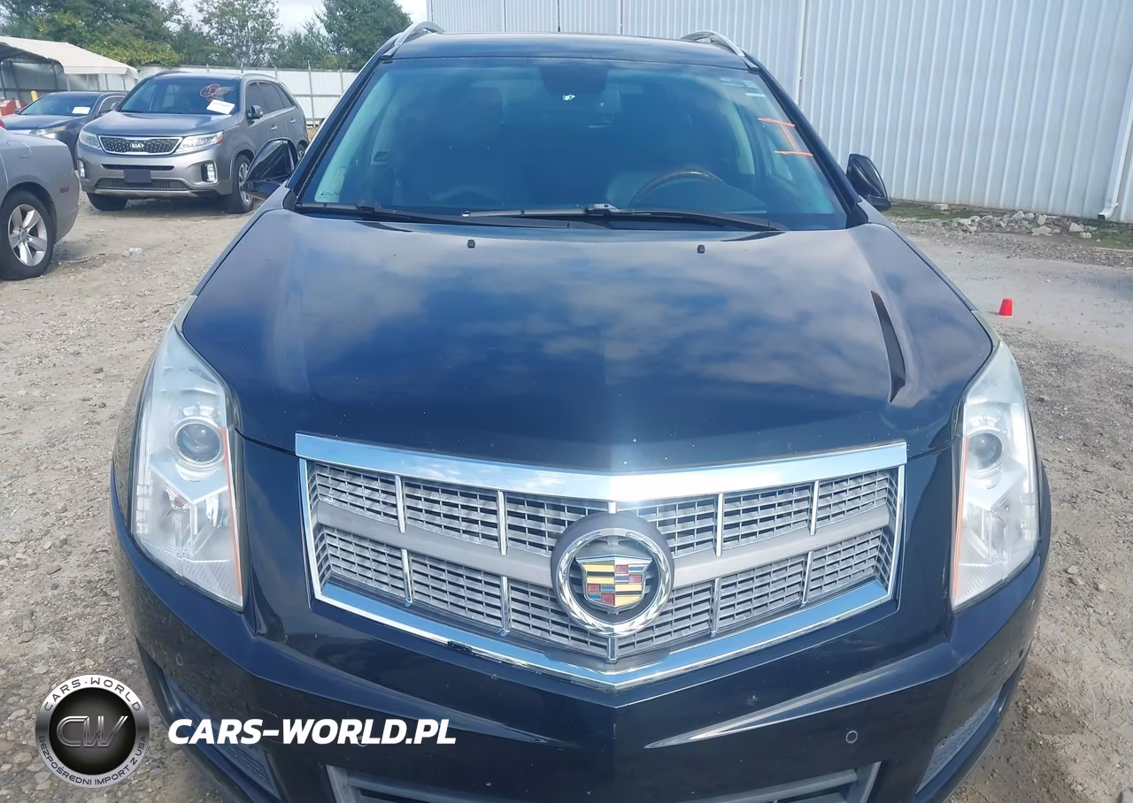 2011 Cadillac Srx Luxury Collection VIN:3GYFNAEY5BS585289 - 6