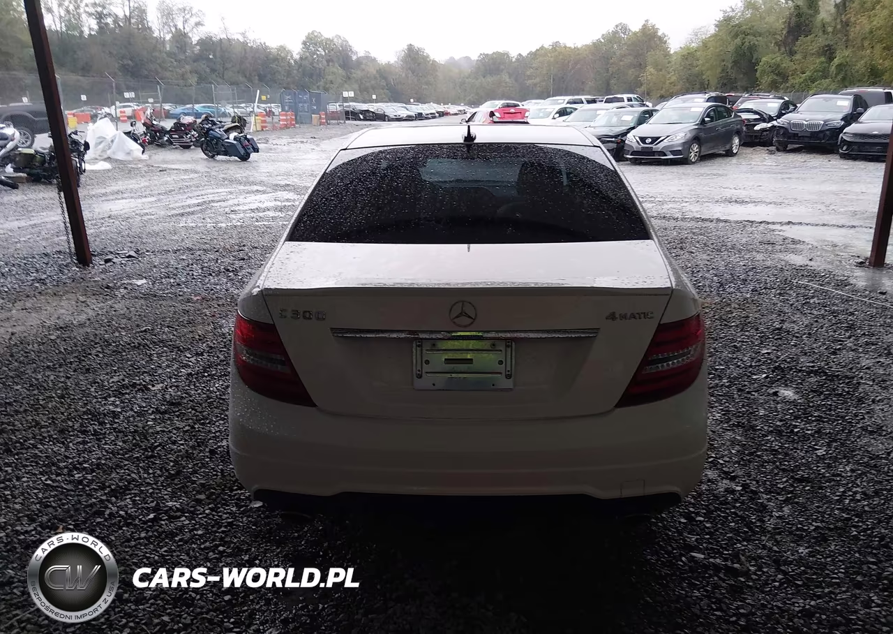 2014 Mercedes-Benz C 300 Luxury 4Matic-Sport 4Matic VIN:WDDGF8AB1EA956719 - 16
